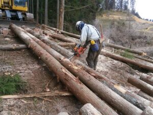 株式会社ＢＷＭ